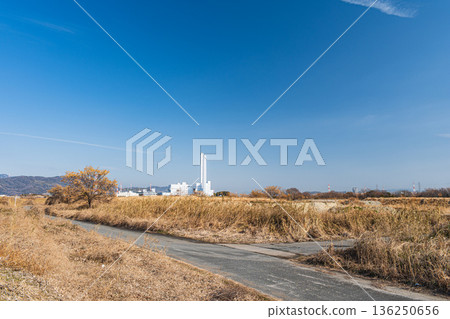 大阪府高槻市淀川右岸河床風光 大阪府高槻市淀川右岸河床風光 136250656