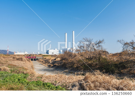Yodo River right bank riverbed scenery, Takatsuki City, Osaka Prefecture 136250660