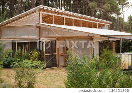 Greenhouse nursery fostering young trees and plants.Sustainable agriculture Greenhouse nursery fostering young trees and plants.Sustainable agriculture 136251866