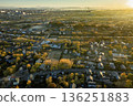 Yellow, yellow, yellow ginkgo trees in the city (aerial view) 136251883