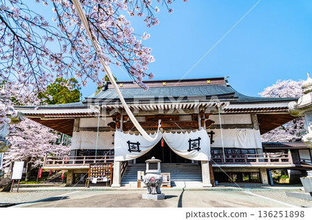 山梨縣妙陵寺櫻花盛開，景色迷人。 136251898