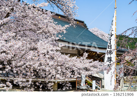 Myoryo-ji Temple in Yamanashi with cherry blossoms in full bloom Myoryo-ji Temple in Yamanashi with cherry blossoms in full bloom 136251906