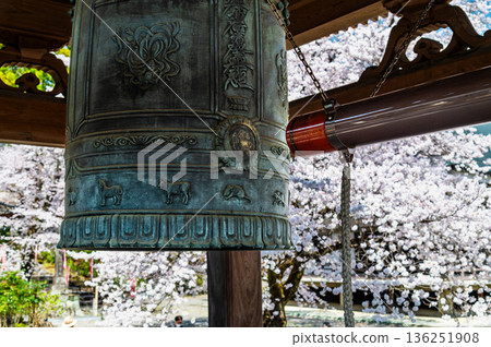 Myoryo-ji Temple in Yamanashi with cherry blossoms in full bloom Myoryo-ji Temple in Yamanashi with cherry blossoms in full bloom 136251908
