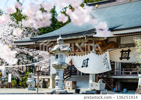 Myoryo-ji Temple in Yamanashi with cherry blossoms in full bloom 136251914