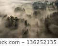 A morning with a dense fog warning (aerial view) 136252135