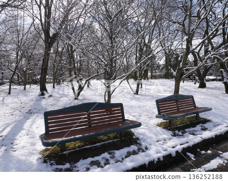 Park bench covered with snow Park bench covered with snow 136252188
