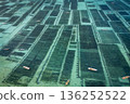 Emerald green carpet (aerial view) 136252522