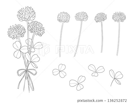 白色三葉草線畫插圖集，向量圖，透明背景 136252872