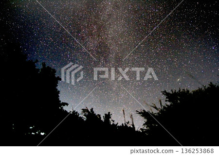 The north side of the Milky Way seen from the forest 136253868