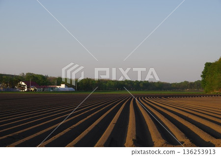 馬鈴薯種植用線流式土壤溝11 馬鈴薯種植用線流式土壤溝11 136253913