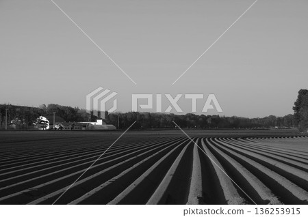 Line flow soil furrows for potato cultivation 13 Line flow soil furrows for potato cultivation 13 136253915