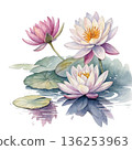 Seasonal Flowers Watercolor White Background 136253963