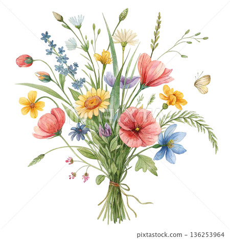 Seasonal Flowers Watercolor White Background Seasonal Flowers Watercolor White Background 136253964