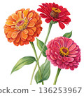 Seasonal Flowers Watercolor White Background 136253967