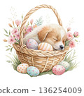 The cutest dog in the world sleeping peacefully inside a pastel Easter egg basket 136254009