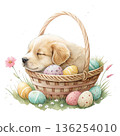 The cutest dog in the world sleeping peacefully inside a pastel Easter egg basket 136254010