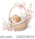 The cutest dog in the world sleeping peacefully inside a pastel Easter egg basket 136254014
