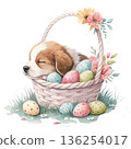 The cutest dog in the world sleeping peacefully inside a pastel Easter egg basket 136254017
