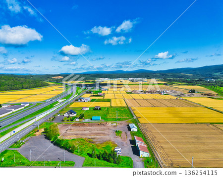 Aerial walk Aerial walk 136254115