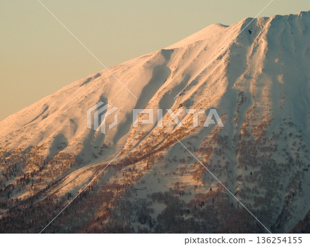 夕陽西下，白雪皚皚的羊蹄山染上了一層絢麗的色彩。 136254155