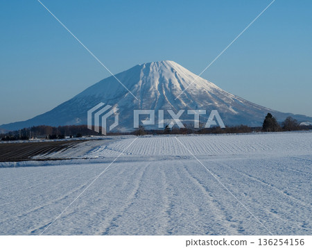 在初春湛藍的天空下拍攝羊蹄山 136254156