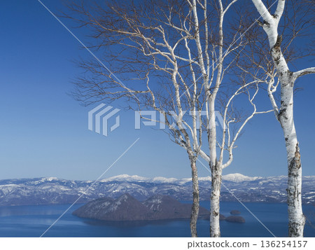 白樺樹幹和白雪皚皚的奧羅弗雷山脈 136254157