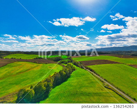 空中步行 136254263