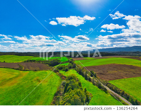 Aerial walk Aerial walk 136254264