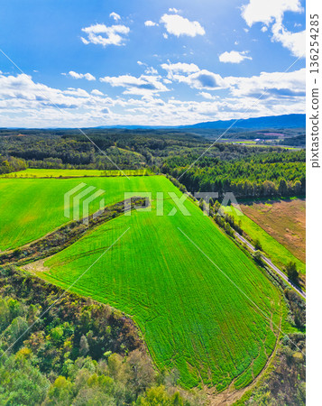 Aerial walk 136254285