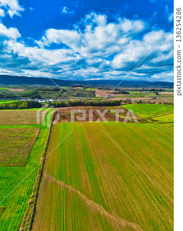 空中步行 136254286