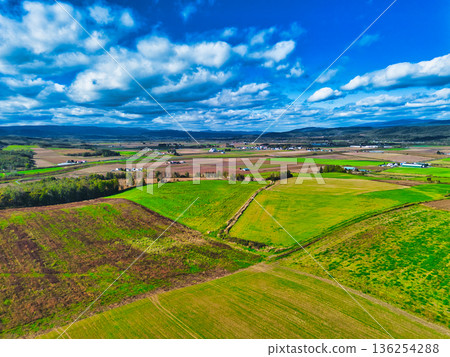 Aerial walk 136254288