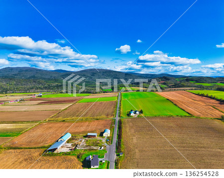 Aerial walk Aerial walk 136254528
