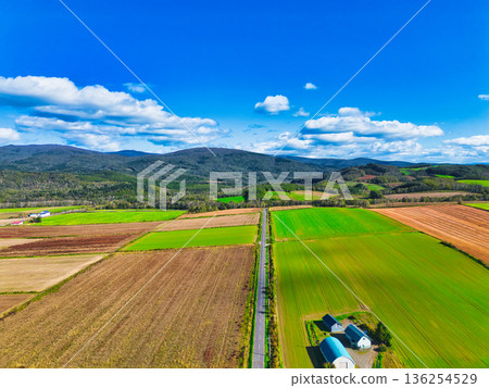 Aerial walk Aerial walk 136254529