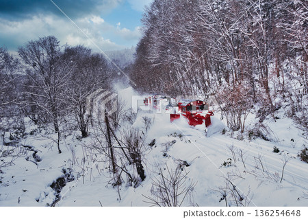 Snowplow train DE-15 136254648