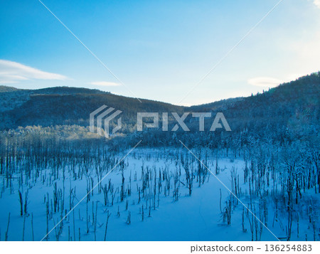 冬天的早晨 136254883