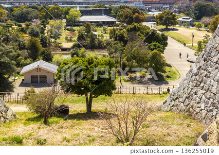 Akashi Park and Akashi Castle Ruins in Spring, Akashi City, Hyogo Prefecture 136255019