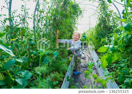 Little Girl Standing in Greenhouse 136255325