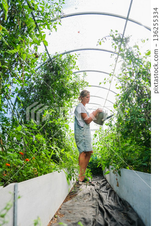 Woman watering crop with watering can in greenhouse Woman watering crop with watering can in greenhouse 136255334