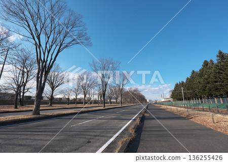 Tochigi Prefecture LRT Line February 136255426