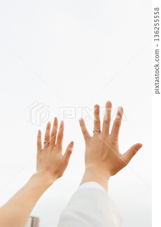 一張男女手戴著結婚戒指的照片。一對夫婦的合照。 136255558