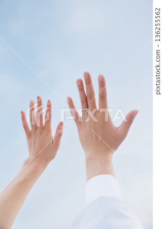 Photo of a man and woman's hands with wedding rings. Image of a couple. Photo of a man and woman's hands with wedding rings. Image of a couple. 136255562