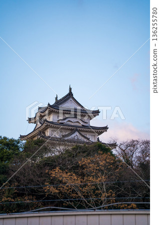 冬日藍天與宇和島城 | 一月照片 | 早晨 | 愛媛縣宇和島市 冬日藍天與宇和島城 | 一月照片 | 早晨 | 愛媛縣宇和島市 136255780