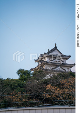 冬日藍天與宇和島城 | 一月照片 | 早晨 | 愛媛縣宇和島市 冬日藍天與宇和島城 | 一月照片 | 早晨 | 愛媛縣宇和島市 136255781