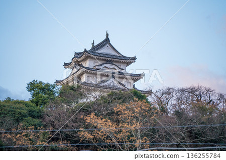 Winter blue sky and Uwajima Castle | January photo | Morning | Uwajima City, Ehime Prefecture Winter blue sky and Uwajima Castle | January photo | Morning | Uwajima City, Ehime Prefecture 136255784