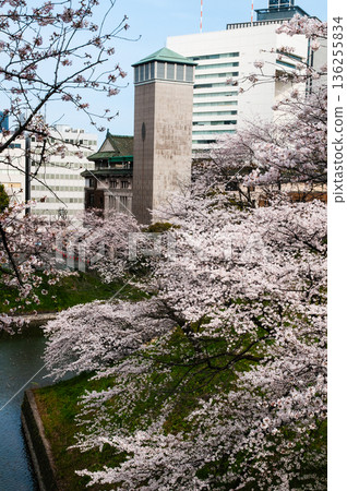 Former Kudan Kaikan and Sakura 136255834