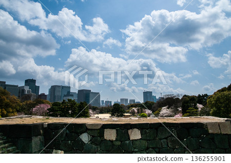江戶城堡遺址 136255901