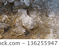 Melted ice 136255947