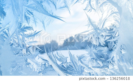 Frozen frost patterns and icy blue textures coat the natural crystal branches of a winter tree in a cold macro snow landscape 136256018
