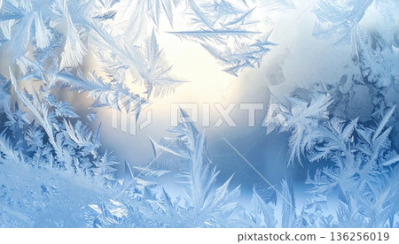 Frozen frost patterns and icy blue textures coat the natural crystal branches of a winter tree in a cold macro snow landscape Frozen frost patterns and icy blue textures coat the natural crystal branches of a winter tree in a cold macro snow landscape 136256019