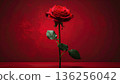 A single beautiful red rose blossom with green leaves and a delicate bud stands isolated on a black background as a romantic floral gift for Valentine's Day 136256042